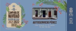 13_autoservicio_perez2021