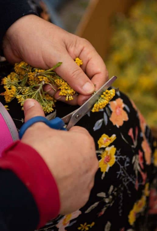 Fiesta de las Cruces