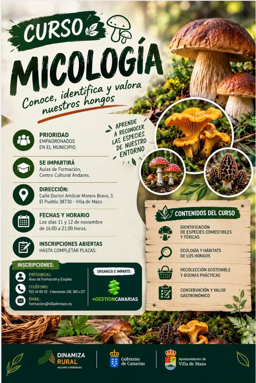 curso de micología en Villa de Mazo